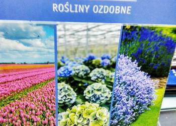 Architektura krajobrazu rośliny ozdobne Hortpress
