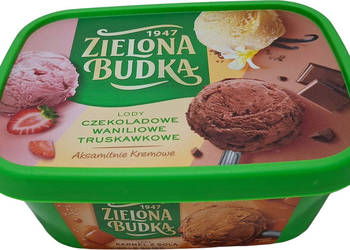 Pojemnik z pokrywką, zielony, 1000ml, 1L, 14,5x19x8cm (Kreatywne)