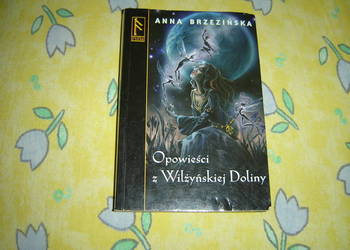 Opowieści z Wilżyńskiej Doliny Brzezińska