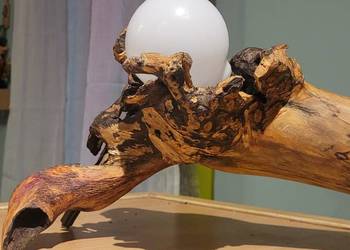Lampy z korzenia drzew