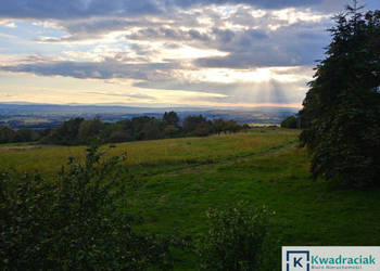 Oferta sprzedaży działki 2983m2 Odrzykoń