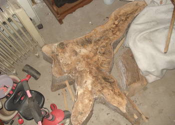 plaster drewna wiąz