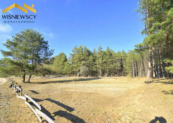 Działka 3001 m2, przy lesie, budowlana, uzbrojona