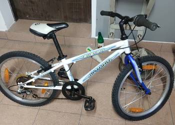 Rowerek dla dziecka Author Energy 20"