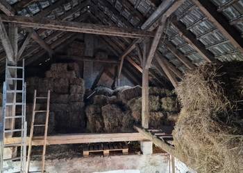 Słoma w kostkach