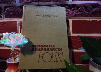 Geografia Gospodarcza Polski (Warszawa 1968) ?