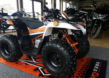KAYO Inny SALON MOTOCYKLOWY MOTOEAGLES Kayo AU125 Sprawdż ofertę i Serwis