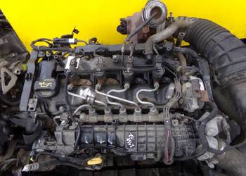 SPORTAGE i40 CARENS 1.7 CRDI 13r D4FD sprezarka klimatyzacji F500-DX9FA03