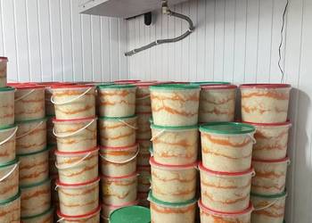Kapusta kiszona