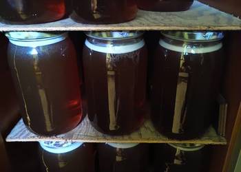 sprzedam miód wielokwiatowy i spadziowy z terenów leśnych