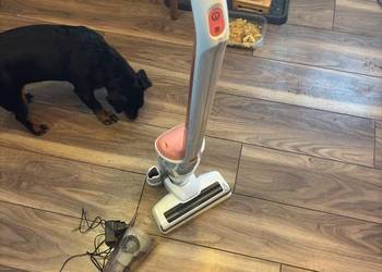 Odkurzacz pionowy akumulatorowy Argos wysyłka gratis