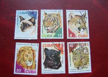 Kuba 1977 CTO Mi. 2257/62 Fauna Zwierzęta Koty Drapieżne  a