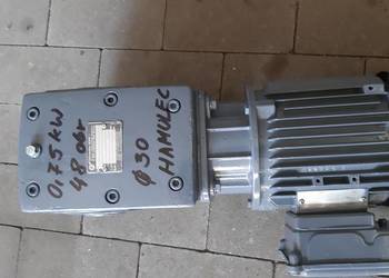 Motoreduktor  0 75 kW/48 obr