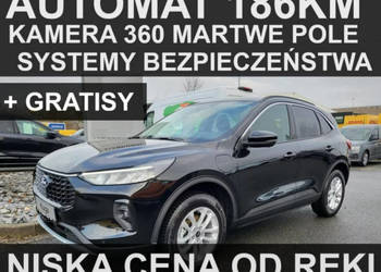 Ford Kuga Titanium 186KM Automat Pakiet Winter Kamera 360 Niska Cena III (…