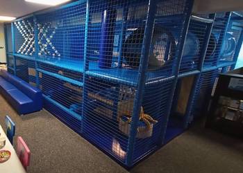 Konstrukcja małpi gaj 5x6m