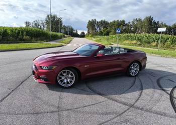 Ford Mustang GT cabrio 50 lecie 2015 rok