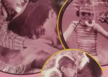 My world angielskie ćwiczenia szkolny używany antykwariat My world angielskie ćwiczenia szkolny używany antykwariat