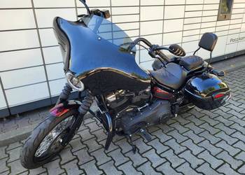 Harley Davidson Street Bob rok 2019 Softail
