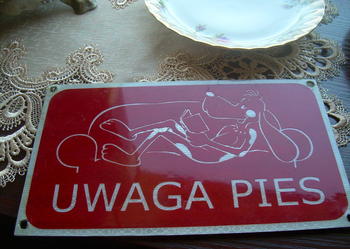 Nowy szyld Uwaga zły pies