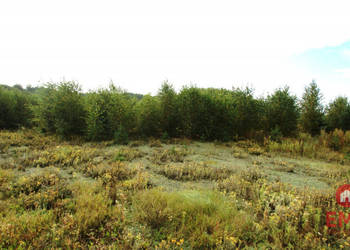 Działka 2806m2 Klimki