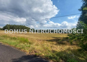 Grunt sprzedam Rozworzyn 1000m2