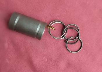 ŁacNik frrzowany so akrzyni