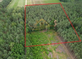 Działka Żabia Wola św. Anny 17261m2