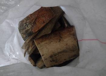 Drzewo drewno opał klapki sosna