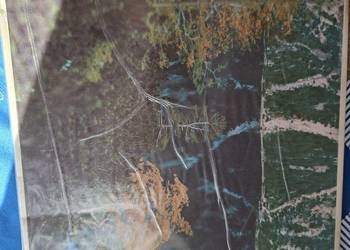 Tatry- Milic Blahout Pavol Repka j. pol., j. słowacki