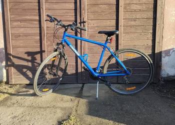 Rower miejski Goodman