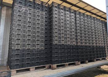 Skrzynki plastikowe Casi