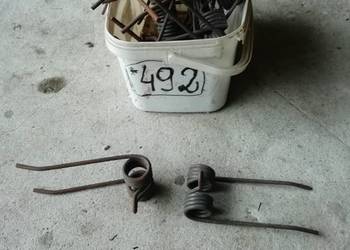 Palec podbieracza jugosłowiański