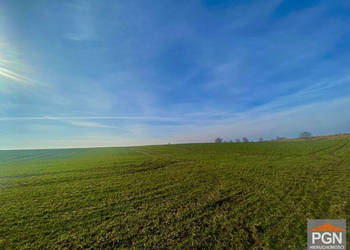 Działka Trzęsacz 5460m2