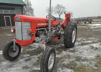 Ferguson. M. F. 65. Diesel 4 cylndry