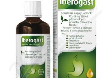 IBEROGAST 100ml płyn doustny