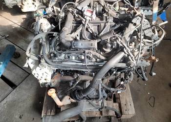 Silnik 1,6 CDI dCi Mercedes Vito 447 om622951 Renault Trafic R9M502