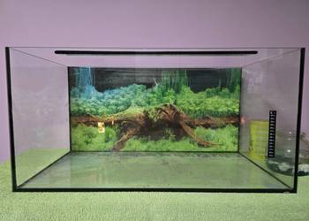 Akwarium + ozdoby