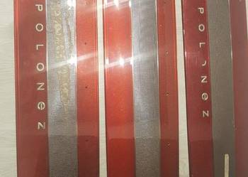 Blenda polonez atu plus