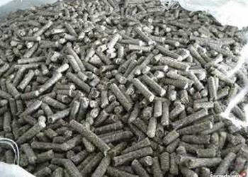 Wysłodki buraczane suche melasowane