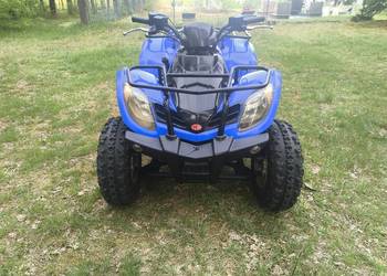 Quad Kymco mxu 300