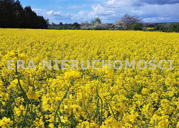 Działka 1187m2 Narewka Hajnowska