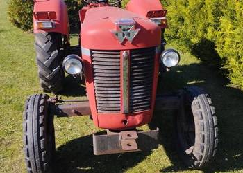 MF Ciągnik Massey Ferguson MF30,130