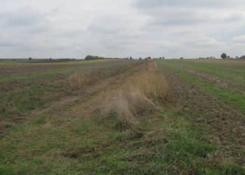 Działka rolna