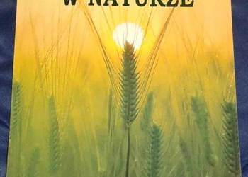 Odpocznienie w naturze - Beata Maciejewska