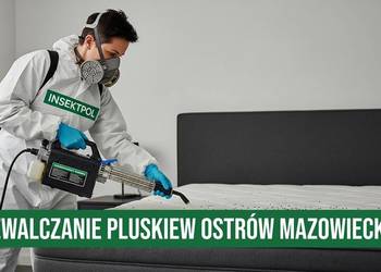 Zwalczanie Pluskiew Ostrów Mazowiecka - Odpluskwianie, Dezynsekcja