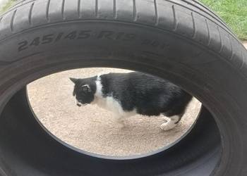 Opona PIRELLI P ZERO R19 245/45