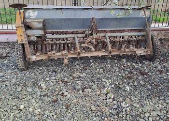 Siewnik zborzowy poznaniak