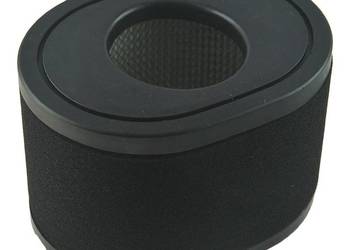 Filtr powietrza / AL-KO Pro 700 V2 / Loncin LC2P77F / LC2P80F / LC2P82F