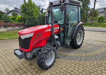 Ciągnik sadowniczy Massey Ferguson 3625V 4x4 Klimatyzacja