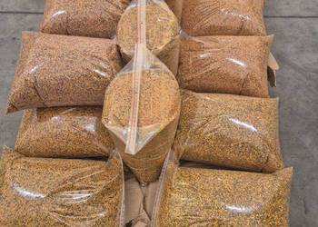 Pyłek pszczeli wysoka jakość super cena